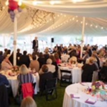 Purple Rose Announces 'Rustic Rose' Summer Benefit