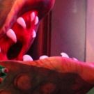 LITTLE SHOP OF HORRORS Opens At Broadway Palm!
