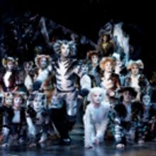 CATS to Play at Sands Theatre At Marina Bay Sands Winter 2019