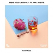 Steve Void and Midsplit Join Forces On New Single PARANOID