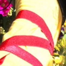 Parson's Nose Presents Clearly Classics: Shakespeare's TWELFTH NIGHT