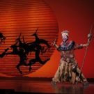 BWW Feature: DISNEY'S THE LION KING at The Adrienne Arsht Center