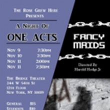 The Rose Grew Here Announces A Night Of One Acts