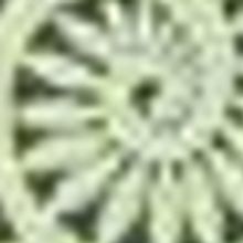 Sarasota Opera Announces New Concert Series Debuting In May