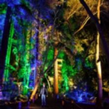 California School of the Arts-SGV Students to Perform at Preview Party for ENCHANTED: