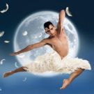 Matthew Bourne's SWAN LAKE Announces Cast