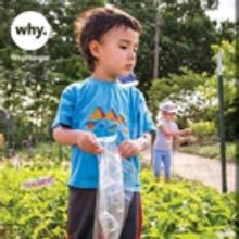Support WhyHunger on Charitybuzz and Meet Hoda Kotb, Willie Nelson and More