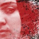 Thought-Provoking New Play, BIRTHMARK Comes to Teesri Duniya Theatre, Today
