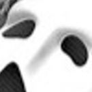 THE PHANTOM OF THE OPERA Launches 2019 Broadway In Hawaii Season