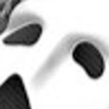 THE PHANTOM OF THE OPERA Launches 2019 Broadway In Hawaii Season