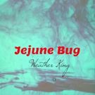 Alternative Rock Band Weather King Releases Single JEJUNE BUG