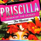 PRISCILLA QUEEN OF THE DESERT 10th Anniversary Tour Finds Full Company