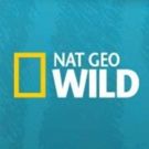 Nat Geo WILD Roars into 2018 with Seven New & Returning Series