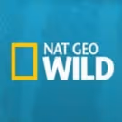 Nat Geo WILD Roars into 2018 with Seven New & Returning Series