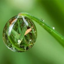 Innovations TV Program to Explore Developments in Clinical Cannabinoid Treatment