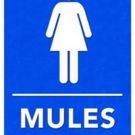 Theatrefront Presents MULES