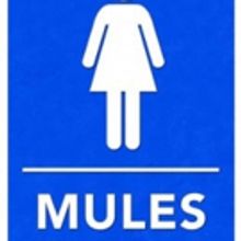 Theatrefront Presents MULES