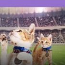 Rescue Pet Adoption Event KITTEN BOWL V Heading to Super Bowl LII