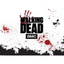 New 'WALKING DEAD' Spinoff Announced
