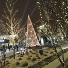 Chicago Kicks off Holiday Season with Tree Lighting at NEWCITY This Weekend