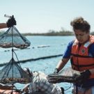 Discovery to Present TAKE BACK THE HARBOR