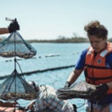 Discovery to Present TAKE BACK THE HARBOR