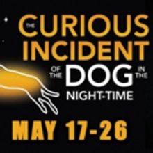 Theatre Tulsa Next Stage Presents THE CURIOUS INCIDENT OF THE DOG IN THE NIGHT-TIME