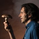 Greenhouse Theatre & The Marsh Present the Chicago Premiere of THE MUSHROOM CURE