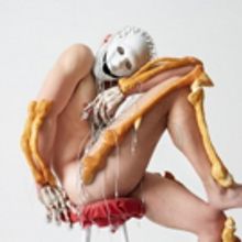 A Hallucinogenic Exploration Of The Relations Between Human, Animal, Machine And Spir