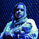 BWW Review: Brave and Memorable SOLDIER POET at Theatre Prometheus