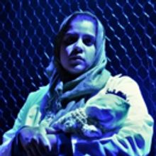 BWW Review: Brave and Memorable SOLDIER POET at Theatre Prometheus