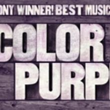 BWW Review: THE COLOR PURPLE at the Orpheum Theatre is Extraordinary