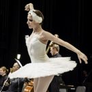 Delaware County Symphony Presents THE CARNIVAL OF THE ANIMALS