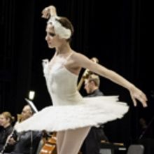 Delaware County Symphony Presents THE CARNIVAL OF THE ANIMALS