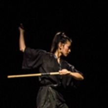 Ninja Ballet 2018 Season to Fuse Ballet And Martial Arts