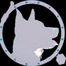 Aux Dog Season Wraps with FRANKIE AND JOHNNY IN THE CLAIR DE LUNE