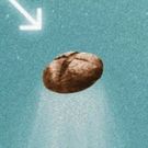 BWW Review: SOURDOUGH by Robin Sloan