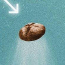 BWW Review: SOURDOUGH by Robin Sloan