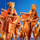 The Lion King Returns To Edinburgh Playhouse