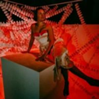 BWW Review: Art Examines Power and Privilege in Shaking the Tree's SALT, a Multimedia Photo