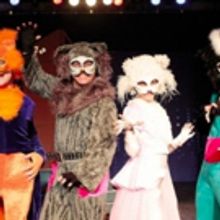 THE CATS Comes to Teatro Municipal Joaquimbenite 3/2 - Today
