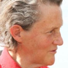 Temple Grandin National Book Tour Stops At The Arvada Center