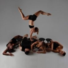 Choral Artists of Sarasota Presents CARMINA BURANA with 60 Voices and Dynamic Choreog