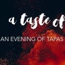 Flamenco Coming to New Rep in A TASTE OF SPAIN Alongside MAN OF LA MANCHA Run