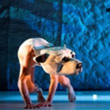 NORDICITE Returns to Montreal