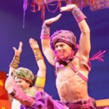 BWW Review: ALADDIN Brings a Whole New World to Broadway Sacramento