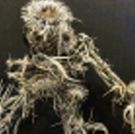 LET THERE BE THISTLES to Receive Los Angeles Premiere