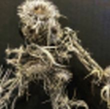 LET THERE BE THISTLES to Receive Los Angeles Premiere