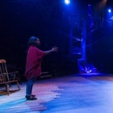 BWW Blog: Stage Managing IN THE RED & BROWN WATER