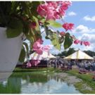 The 56th Arts & Crafts Festival Artists Are Full Steam Ahead